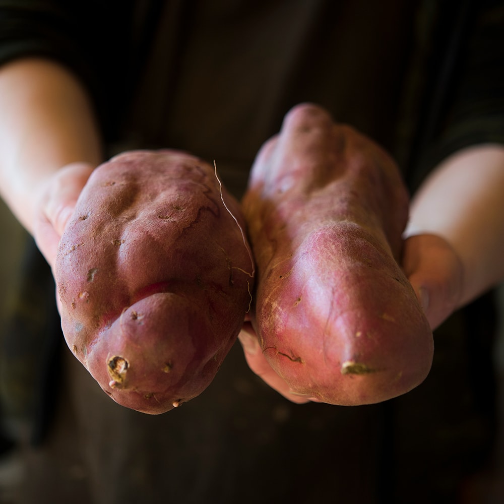 ２つのさつまいも